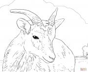 Coloriage mouflon canadien de la ferme