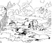 Coloriage famille de loups dans un zoo parc animaux