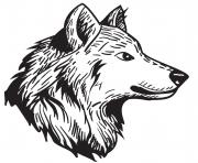 Coloriage loup male animal