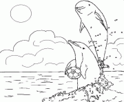 Coloriage dauphins et un ballon de foot