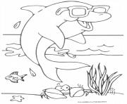 Coloriage dauphin cool avec lunette