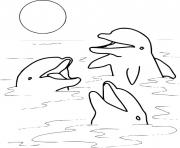 Coloriage trois dauphins hors de leau couche de soleil