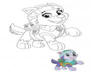 Coloriage Everest Husky Sauvetage En Montagne Paw Patrol