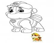 Coloriage Ruben Bulldog Anglais Possede Un Camion De Construction Paw Patrol