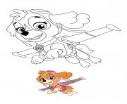 Coloriage Stella Responsable De Laviation Paw Patrol