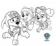 Coloriage Everest Et Stella Courent Apres Zuma Paw Patrol