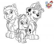 Coloriage Paw Patrol Avec Stella Everest Marcus