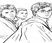 Coloriage harry potter et ses amis