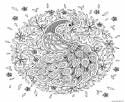 Coloriage paon oiseau adulte mandala