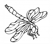 Coloriage libellule insecte