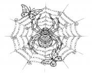 Coloriage araignee papillon mandala adulte