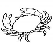 Coloriage crabe realiste