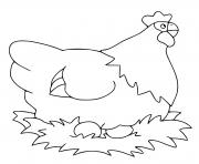 Coloriage poule