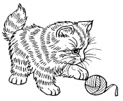 Coloriage adorable chaton qui joue