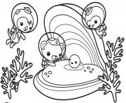 Coloriage les octonauts decouvrent la coquille et perle d sous la mer