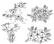 Coloriage fleurs de printemps vivaces