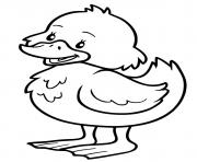 Coloriage petit canard maternelle