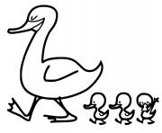 Coloriage canard et les petits canards