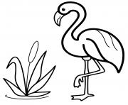 Coloriage flamant rose pres du lac