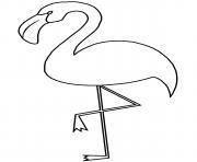 Coloriage flamant rose avec un bec courbe