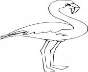 Coloriage flamant rose debout