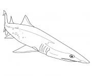 Coloriage requin scie