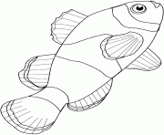 Coloriage poisson brochet