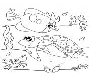 Coloriage adorable animal de mer tortue