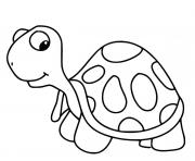 Coloriage jolie tortue dait de beau yeux