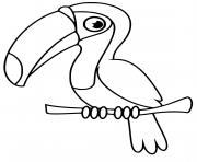 Coloriage oiseau toucan toco maternelle