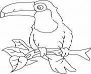 Coloriage toucan avec un bec jaune et une tache noire