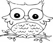 Coloriage hibou mignon rigolo