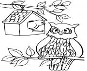 Coloriage une cabane a oiseaux et un hibou