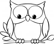 Coloriage hibou mignon regarde en bas