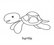 Coloriage tortue