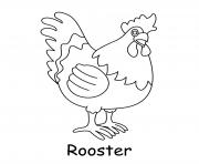 Coloriage coq poule male rooster