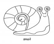 Coloriage escargot mignon