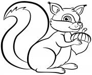 Coloriage ecureuil squirrel chipmunk