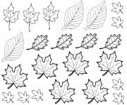 Coloriage feuilles automne