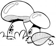 Coloriage champignon amanite bolet satan