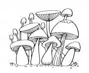 Coloriage champignons de la foret