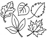 Coloriage feuilles de la saison automne