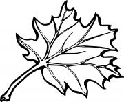 Coloriage feuille erable automne canada