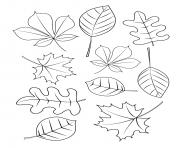 Coloriage les feuilles changent de couleur en automne