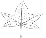 Coloriage feuille de prunier