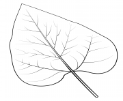 Coloriage feuille de catalpa nothern