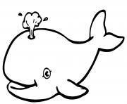 Coloriage baleine simple pour enfants