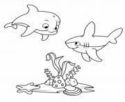 Coloriage un dauphin et son ami le requin