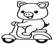 Coloriage cochon kawaii en scooter