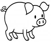 Coloriage cochon facile simple